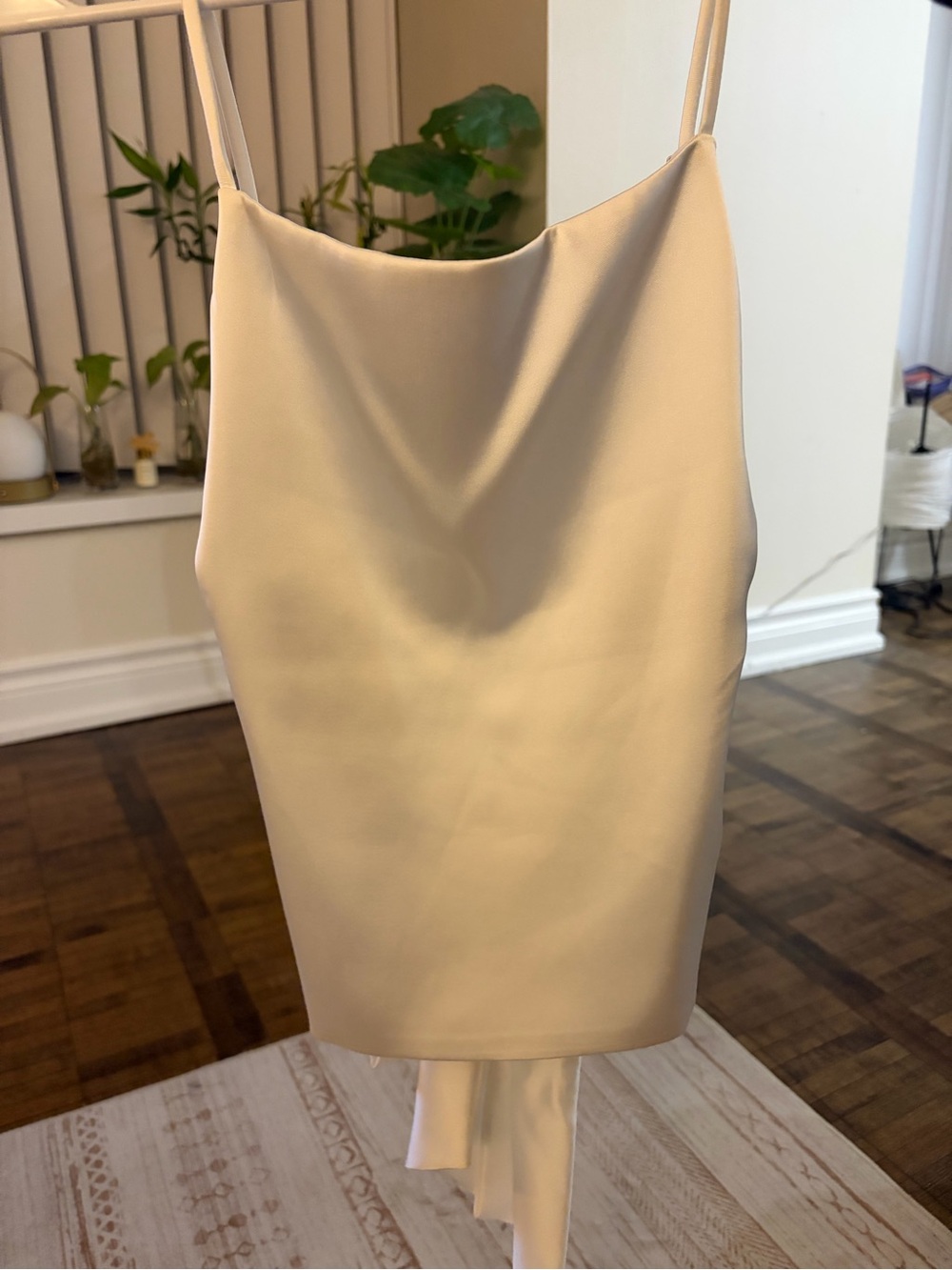 Zara Satin Backless top - New